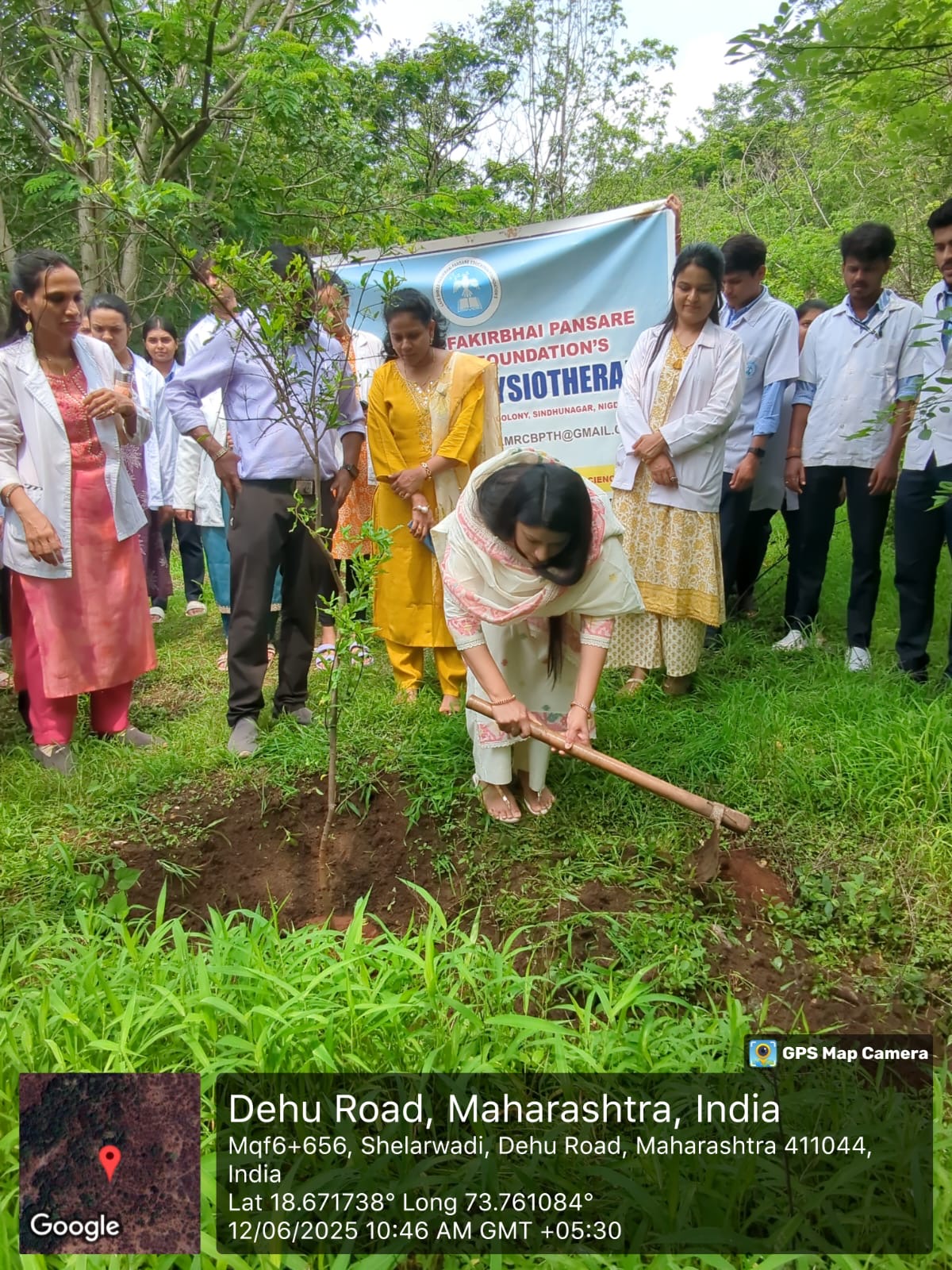 Tree Plantation 3